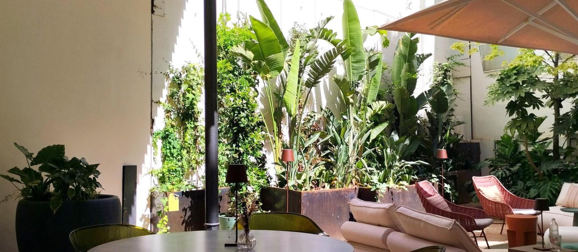 ไอคอน โรเซโต บาย เปอตี พาเลซ Hotel ปัลมาเดมายอร์กา ภายนอก รูปภาพ
